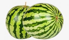 52每日大瓜视频